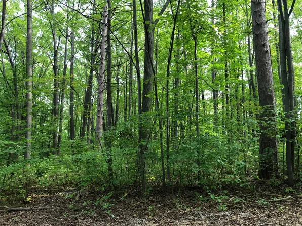 Oakleaf, Houghton Lake, MI 48629