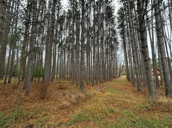 Covered Bridge Rd, Waupaca, WI 54981