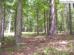 Tbd Parkway Estates Rd, Laurel Springs, NC 28644