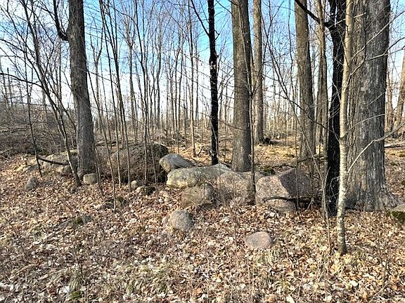 4th image of LOT 2 Thorn Apple Dr