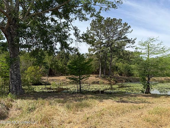 3rd image of 0 N Neely Avera Rd