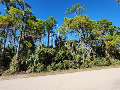 801 E Pine Ave, Eastpoint, FL, 32328