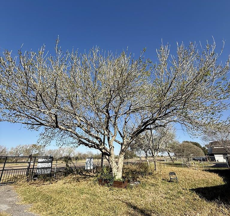 1st image of 8710 Us Highway 281