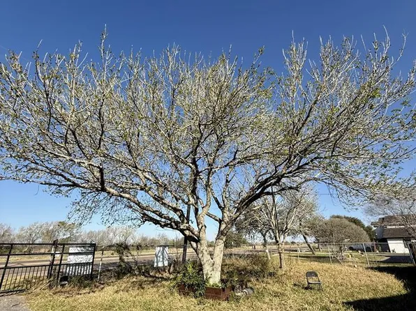 8710 Us Highway 281, Brownsville, TX 78520