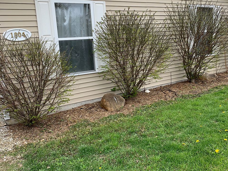 Front yard, Front of house