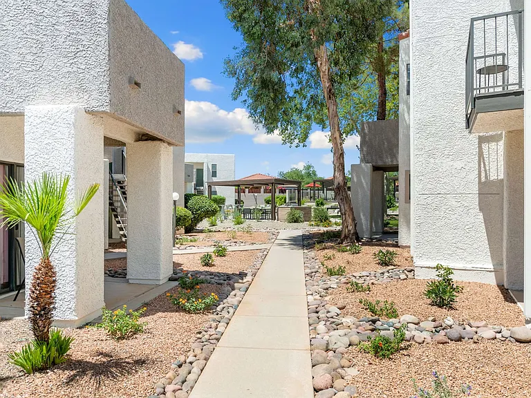 Cortland North Tucson — Photo 28