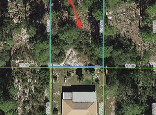 521 Scaup Ave, Sebring, FL 33870