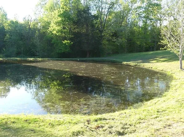 493 Chicken Town Rd, Buffalo Junction, VA 24529