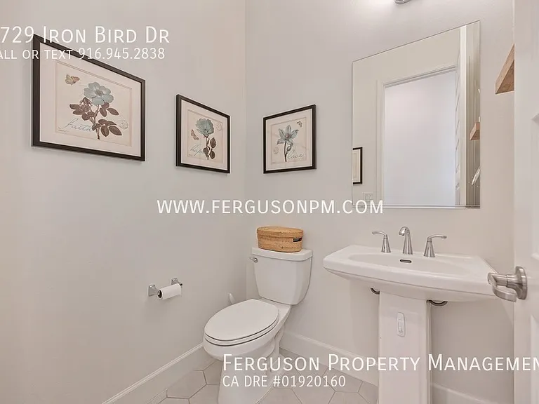 4729 Iron Bird Dr — Photo 11