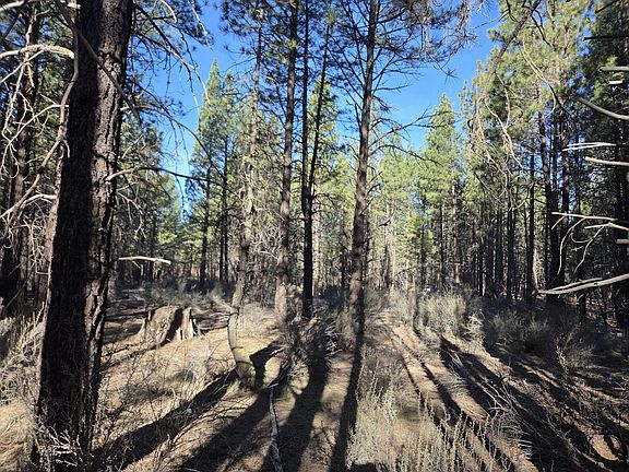 3rd image of 0 Gray Wolf Ln Lot 7