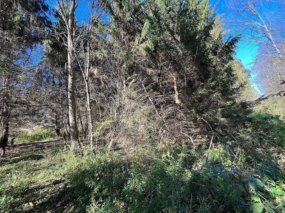 State Route 224 LOT WP002, Cayuta, NY 14824 Zillow