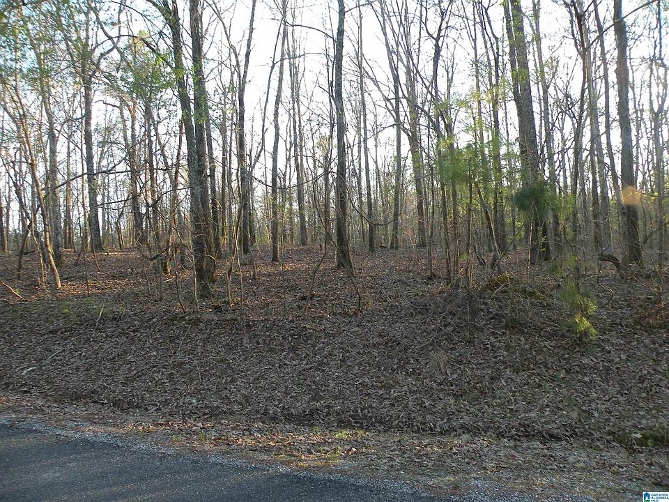 0 Billingsley Dr 13, Childersburg, AL 35044 MLS 1314582 Zillow