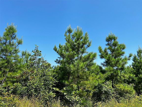 4th image of 1 Carters Ferry Rd E