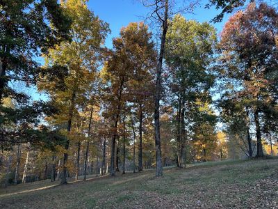 7850 W Lick Creek Rd, Primm Springs, TN, 38476