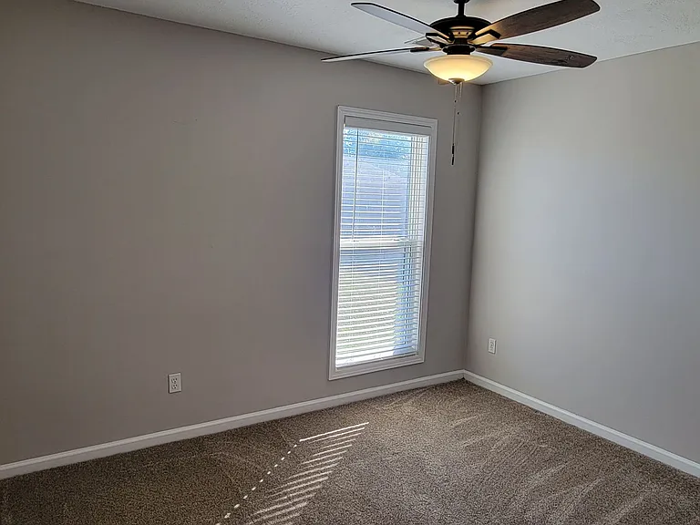 134 Liverpool Cv — Photo 16