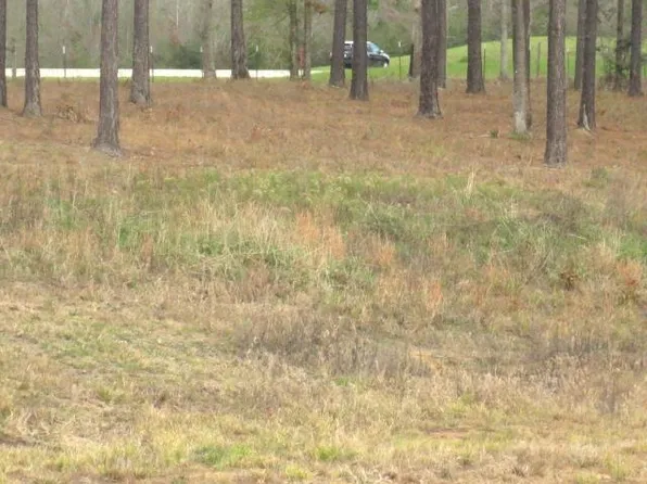 17 Josie Dr, Ellisville, MS 39437