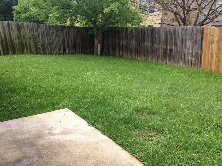 7620 Oak Chase — Photo 8