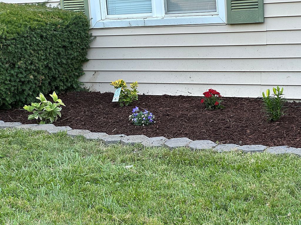Real estate listing image