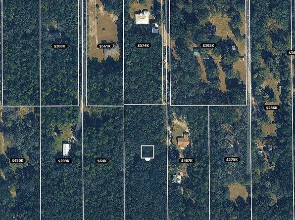 15990 NW 53rd St, Morriston, FL 32668