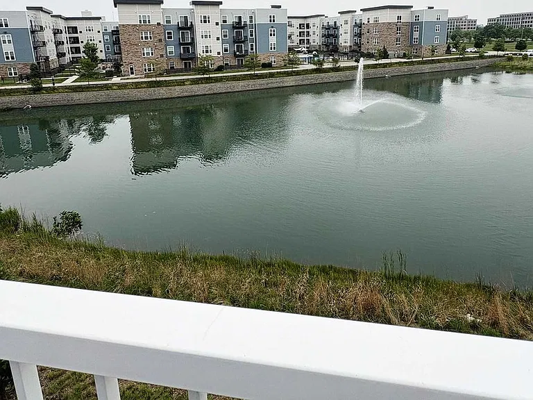 Window View