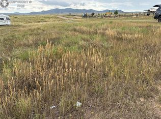 207 Butler St, Westcliffe, CO 81252