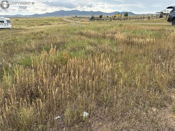 207 Butler St, Westcliffe, CO 81252