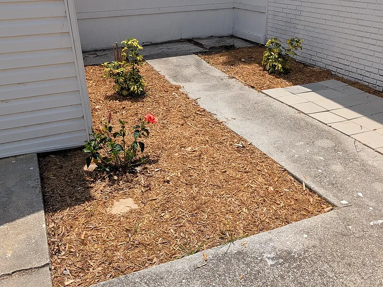 1403 College Park Ln #C — Photo 3