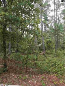 1305 Ridgeway Rd, Lugoff, SC, 29078