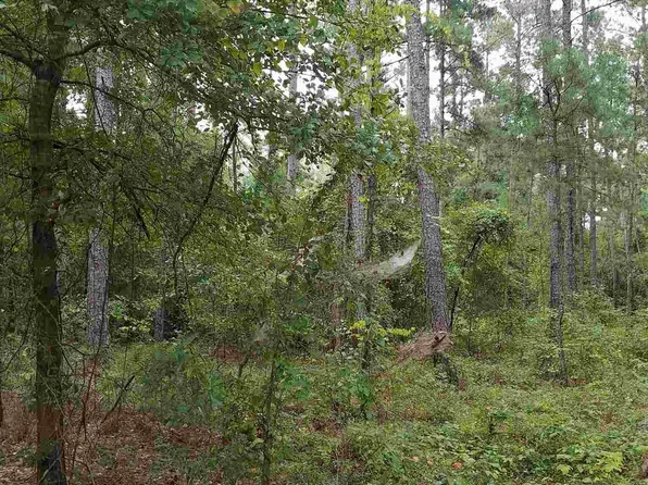 1305 Ridgeway Rd, Lugoff, SC 29078