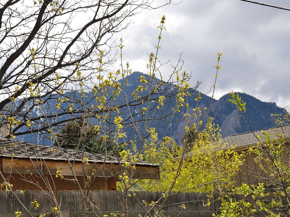 Backyard View