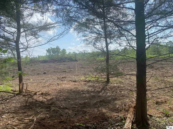 0 Charlie Kie Rd, Rayville, LA 71269