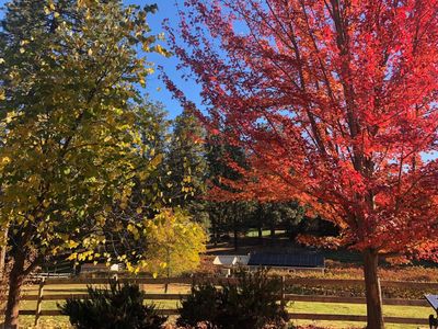 10550 Round Valley Rd, Grass Valley, CA, 95949