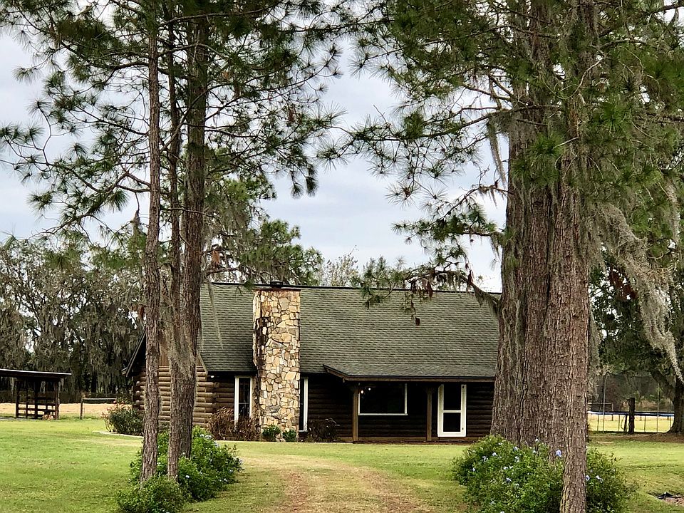 Pine tree covered driveway 
