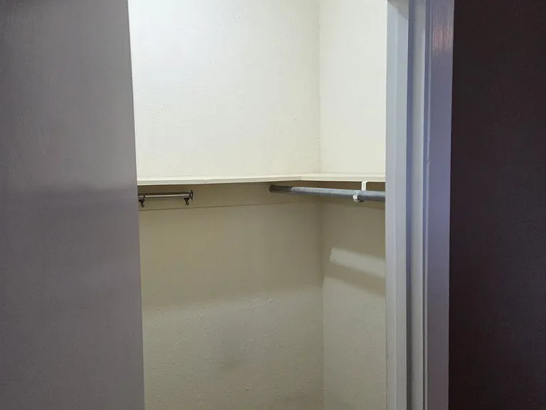 Guest closet, walk in