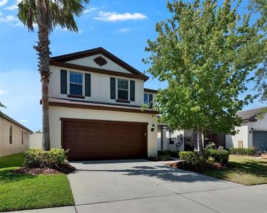5942 Sweet Birch Dr, Riverview, FL, 33578