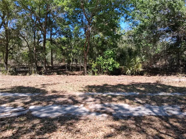 2822 W Yepremian Rd, Avon Park, FL 33825