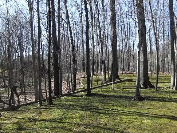 Side yard leads down to creek.