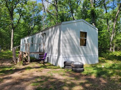 11578 N Dexter Rd, Irons, MI, 49644
