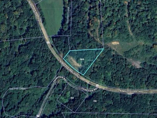 9966 N Mountaineer Hwy, Newburg, WV 26410
