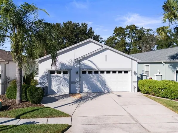 20907 Tangor Rd, Land O Lakes, FL 34637