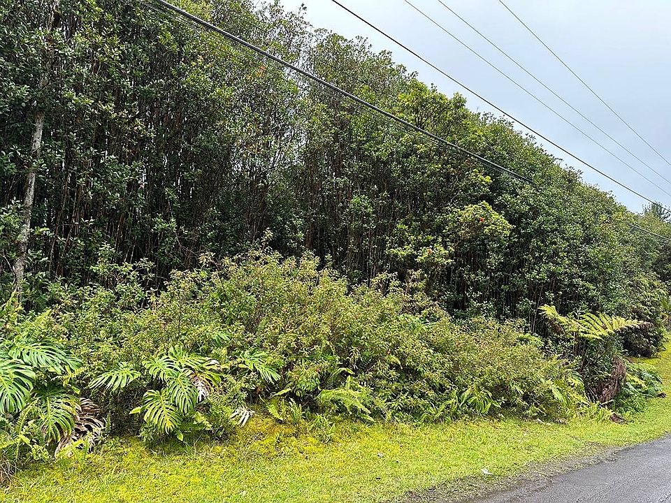 2nd image of Hibiscus St Lot 7328