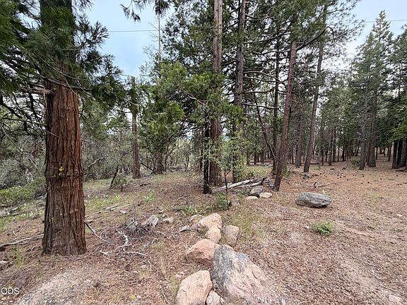 2nd image of 0 Porpoise Ln #15