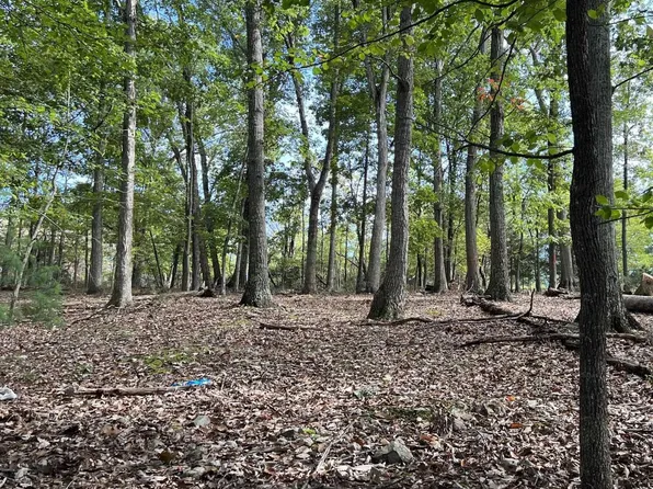 Janes Way, High View, WV 26808