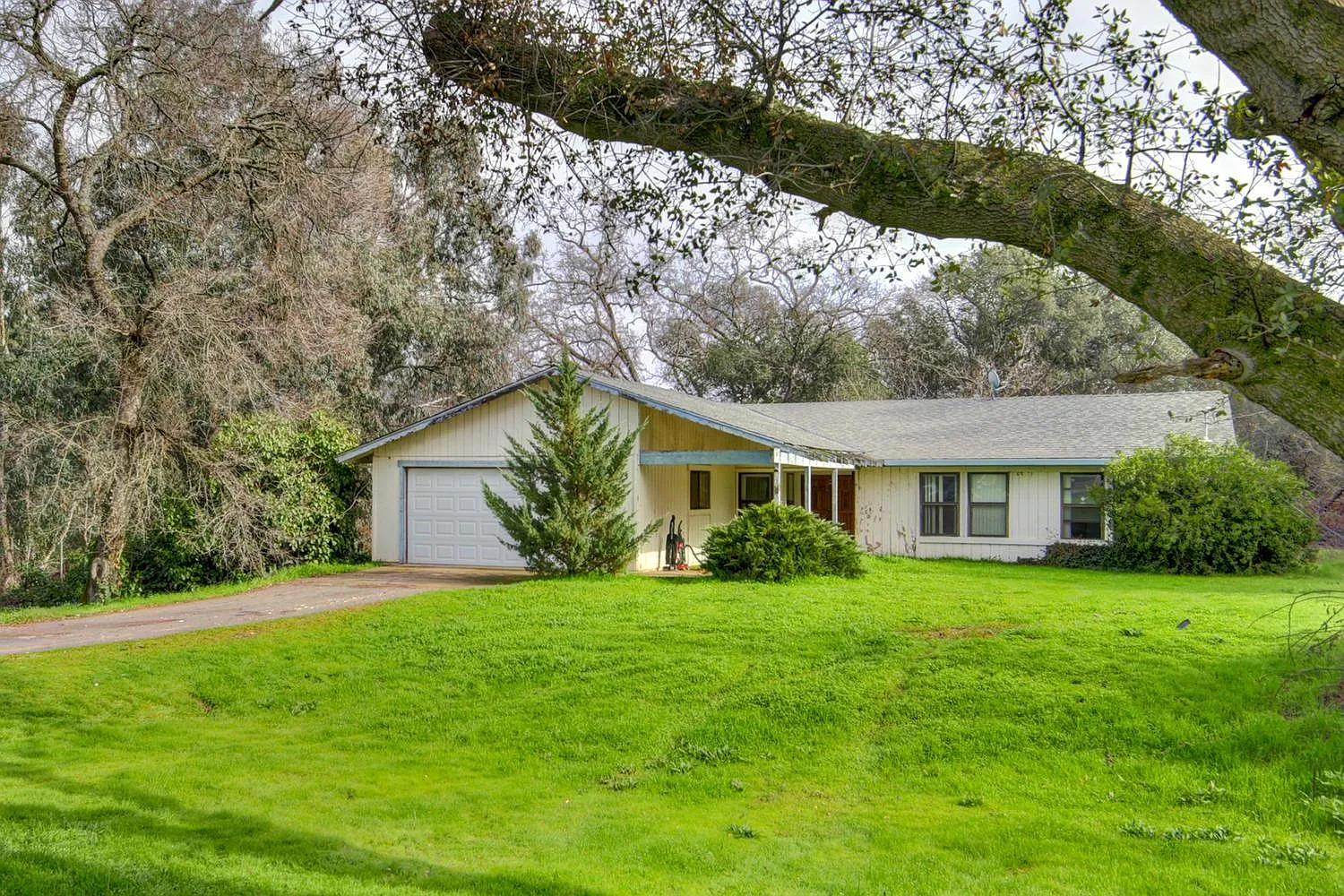 8775 Golden Spur Dr photo 1
