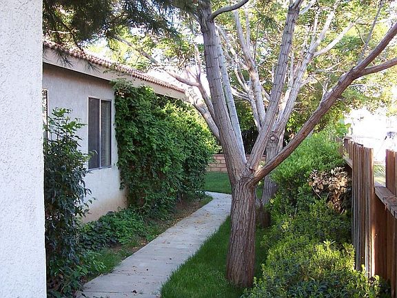 Walkway from garage to backyard