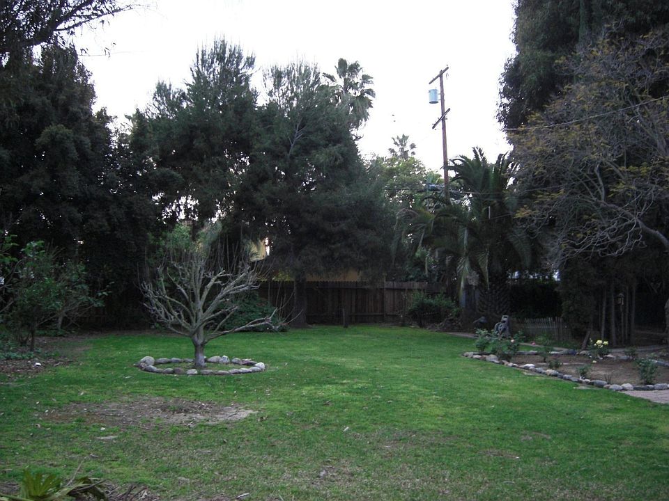 The Back Yard