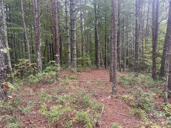 9587 Shortoff View Ter Lot 57, Nebo, NC 28761