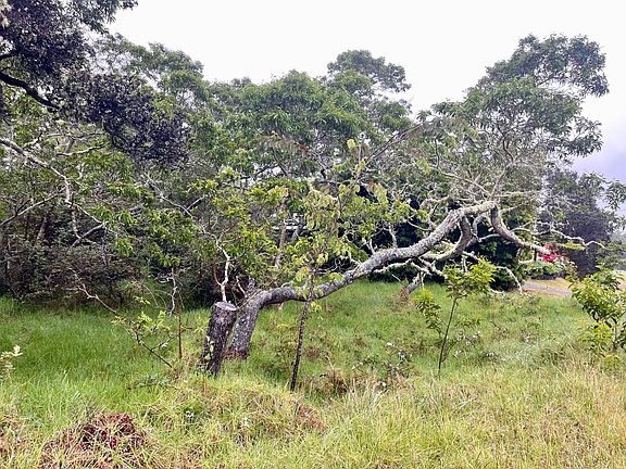 4th image of 99-1945 Pukeawe Cir Lot 220
