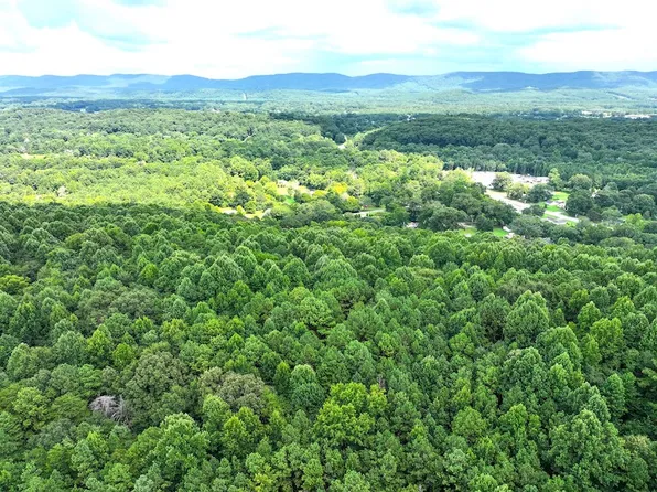 0 Raccoon Rd, Summerville, GA 30747