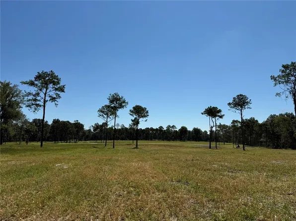 Dr 8 10ac NW #193, Micanopy, FL 32667